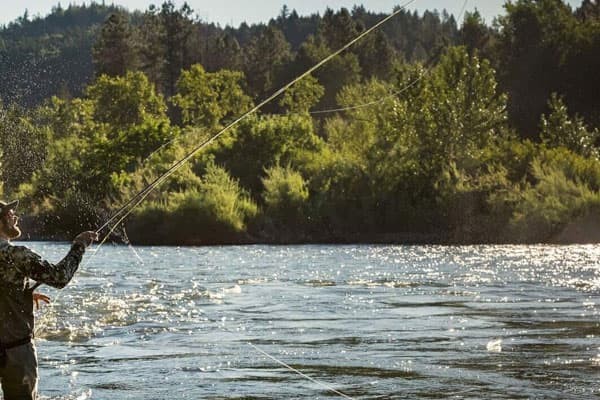 Fly fishing trips