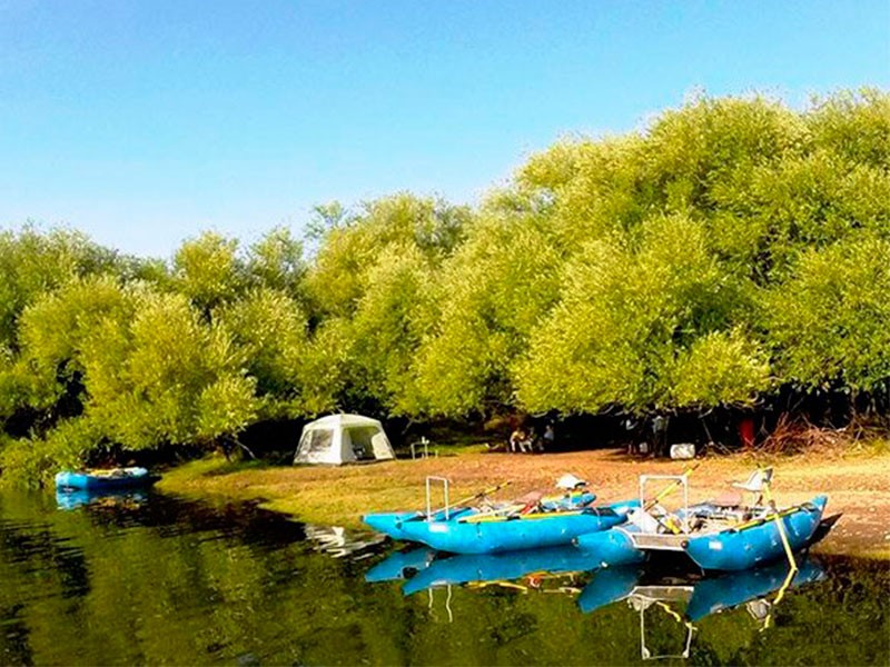 Trips of Bariloche trout fishing