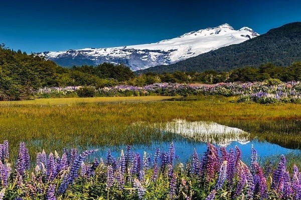 Fly Fishing in Patagonia