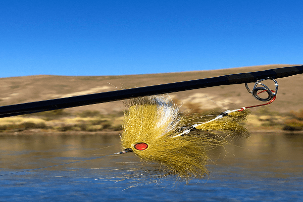 Fly fishing in Patagonia: fly fishing hook recommendations
