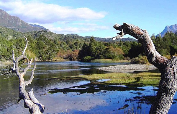 Chimehuin River